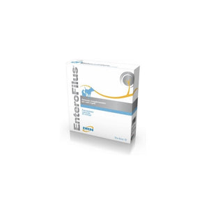 Enterofilus DIGESTIVE SYSTEM 12 Ampoules 10ml 